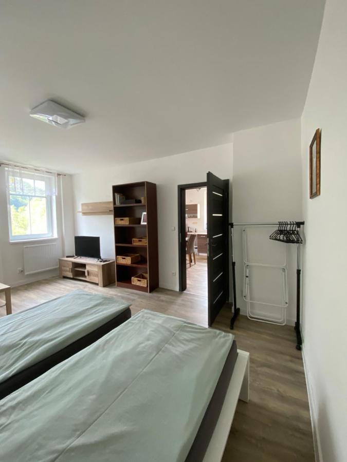 Apartmany U Viaduktu 46 Ústí nad Labem المظهر الخارجي الصورة