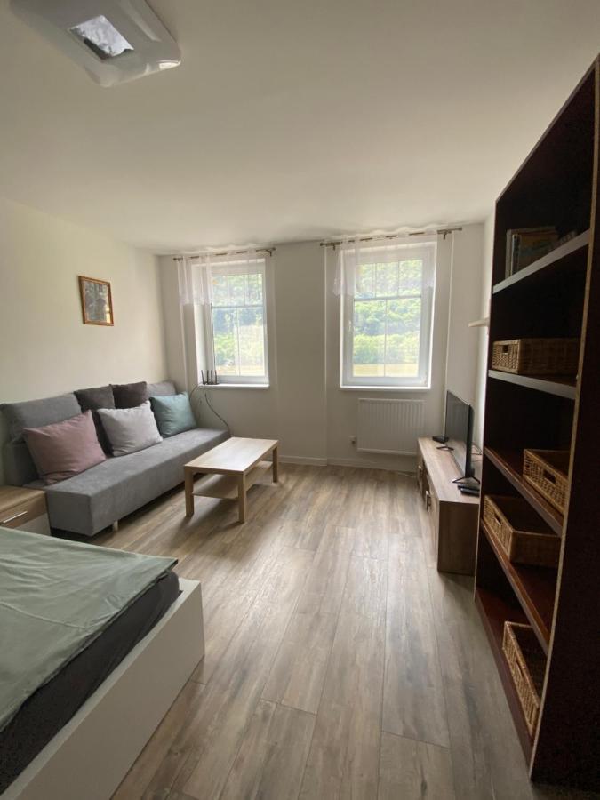 Apartmany U Viaduktu 46 Ústí nad Labem المظهر الخارجي الصورة
