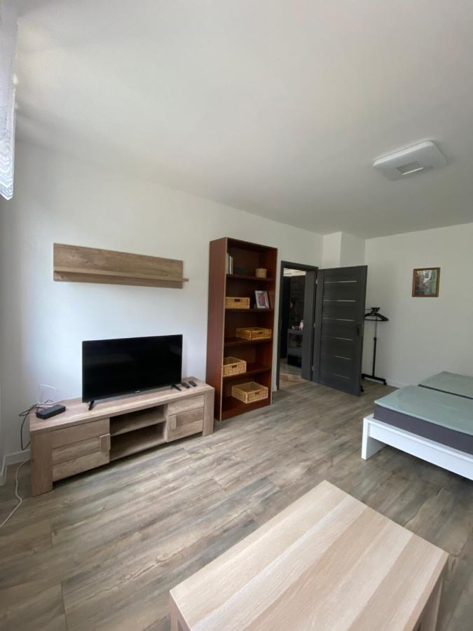 Apartmany U Viaduktu 46 Ústí nad Labem المظهر الخارجي الصورة